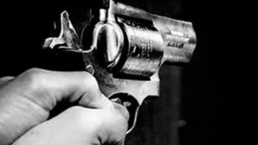 Delhi: Boy mistakes gun for toy, brings it to school