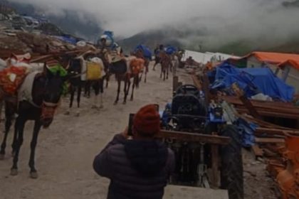 Kedarnath trek route opens for movement of horses and mules after 26 days of cloudburst incident