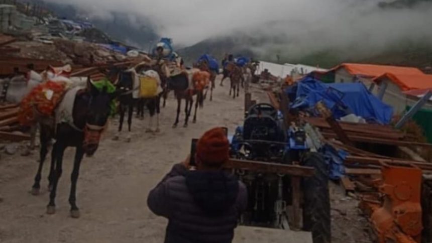 Kedarnath trek route opens for movement of horses and mules after 26 days of cloudburst incident