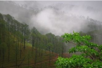 Uttarakhand weather update: IMD issues orange alert for Uttarkashi, Chamoli and Bageshwar