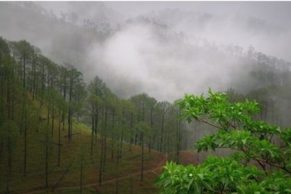 Uttarakhand weather update: Yellow alert for all districts, heavy to very heavy rains likely today