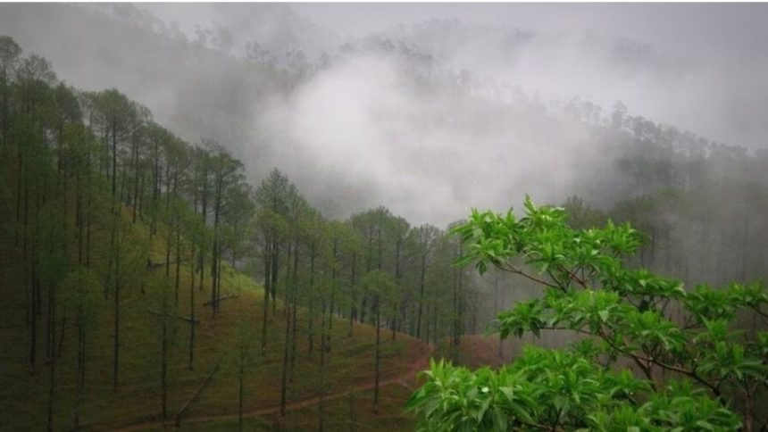 Uttarakhand weather update: Yellow alert for all districts, heavy to very heavy rains likely today