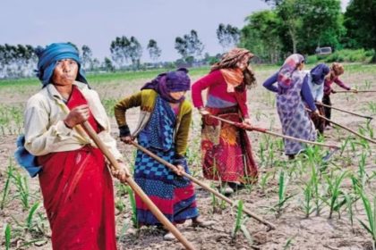 Uttarakhand gears up to implement Agri stack soon starts preparing