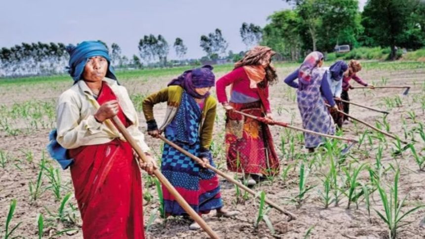 Uttarakhand gears up to implement Agri stack soon starts preparing