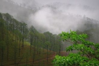 Uttarakhand weather today IMD issues orange alert for Uttarkashi yellow