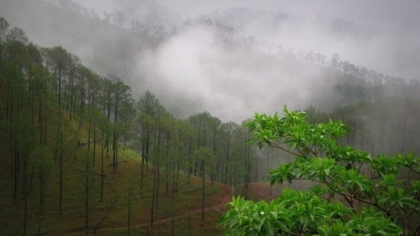 Uttarakhand weather today IMD issues orange alert for Uttarkashi yellow