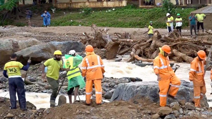 Wayanad landslide Hope dwindles as rescue efforts continue 335 bodies