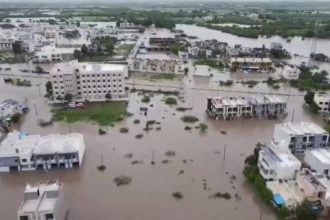 IMD issues red alert for several districts in Gujarat, 16 die in rain-related incidents in 2 days