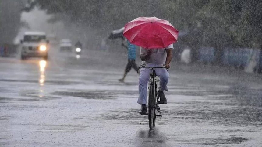 India weather: IMD warns of heavy rain in Madhya Pradesh, Uttarakhand; check forecast of your state