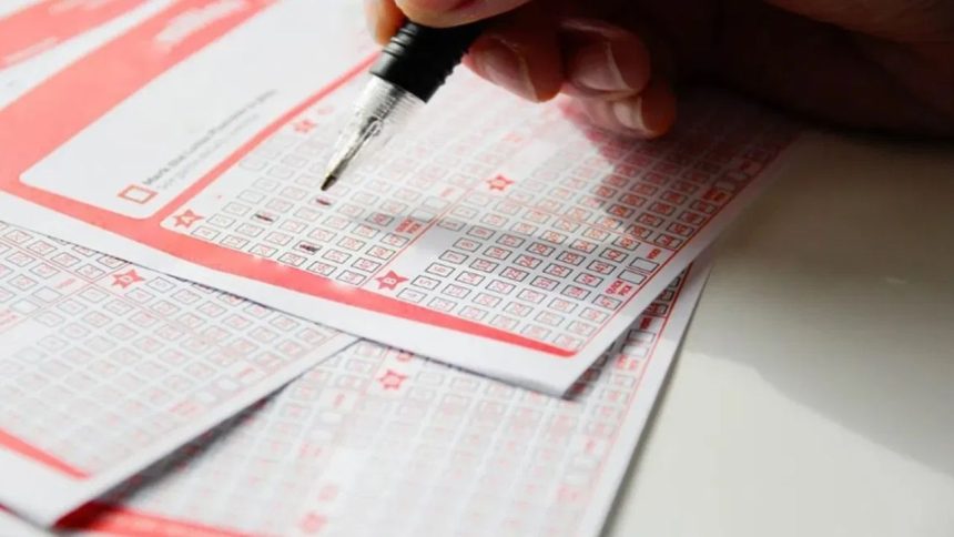 Nagaland Lottery Sambad Result 1PM, 6PM, 8PM for 17.08.2024: Dear Narmada Winners, Prize Rs 1 crore