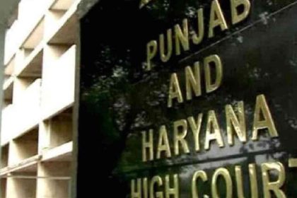 Identity, autonomy of a woman not defined by her relationships: Punjab & Haryana HC