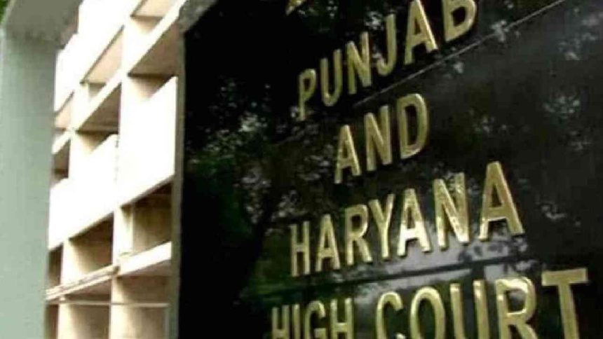 Identity, autonomy of a woman not defined by her relationships: Punjab & Haryana HC