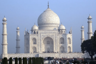 From white marble to green garden: Taj Mahal’s main dome sprouts ‘unwanted’ plants