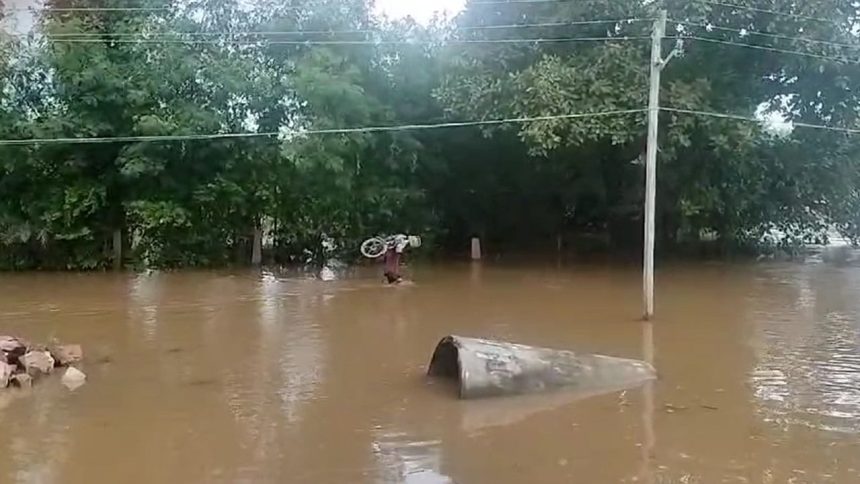 Youth carries bike on head on flood road in MP’s Damoh, video goes viral