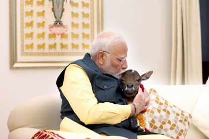 Calf named ‘Deepjyoti’ — new resident at PM Modi’s 7, Lok Kalyan Marg residence