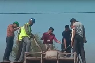 Gujarat: Gas leak from LPG wagon disrupts rail traffic, 9 trains regulated