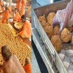 What are beef tallow, lard, and fish oil ‘used in Tirupati temple laddu prasadam’?