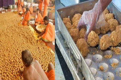 What are beef tallow, lard, and fish oil ‘used in Tirupati temple laddu prasadam’?